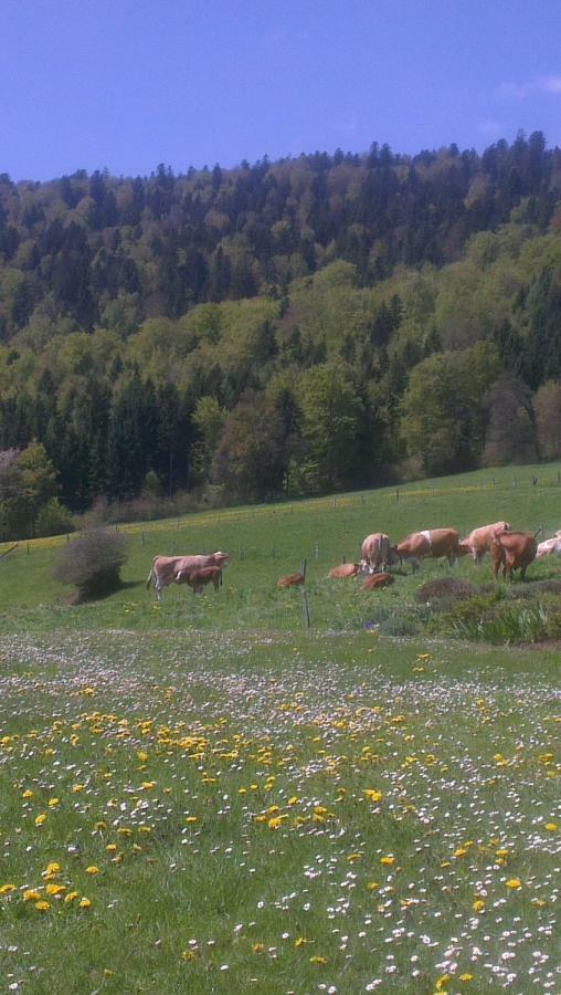 La Petite Fleur Lägenhet Enges Exteriör bild